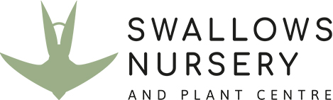 Swallows Nursery & Plant Centre